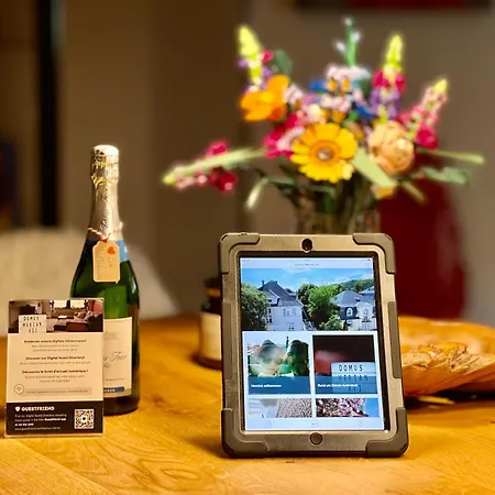 Domus Merian Xii 公寓 特里尔