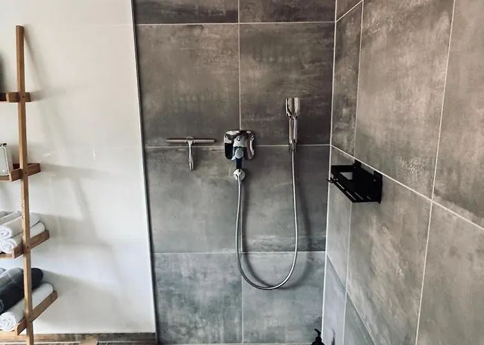 Domus Merian Xii Trier