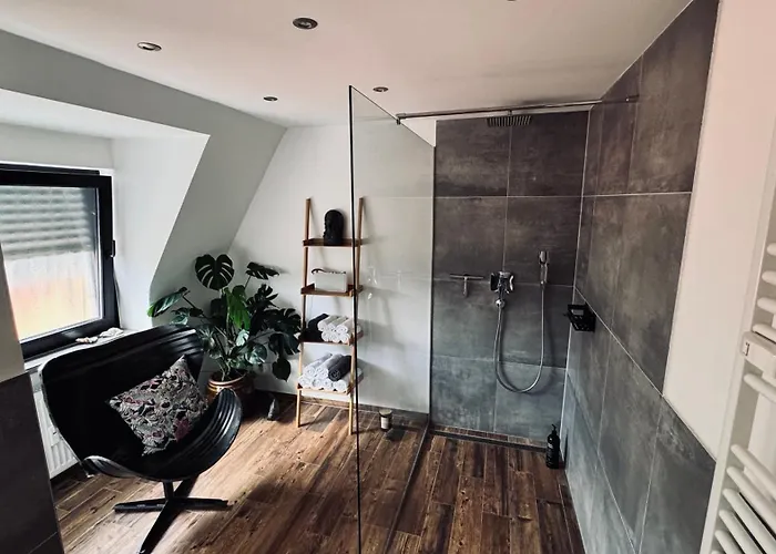 Apartament Domus Merian Xii *