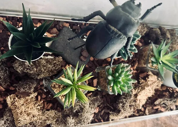 Domus Merian Xii * Trier